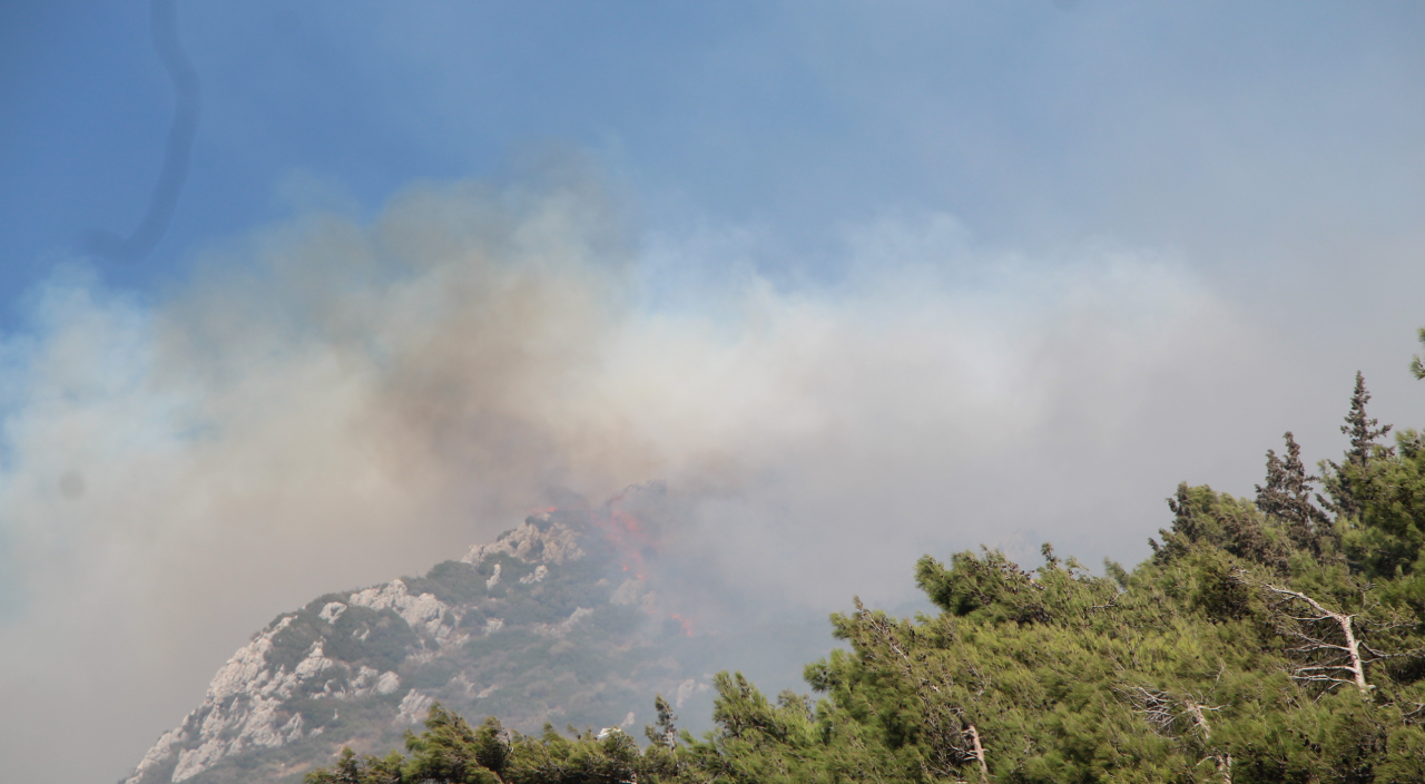 Hatay'da orman yangını! Havadan ve karadan müdahale ediyor